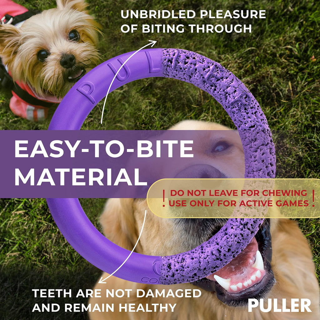 Small Dog Ring Fetch Toy 2 Rings