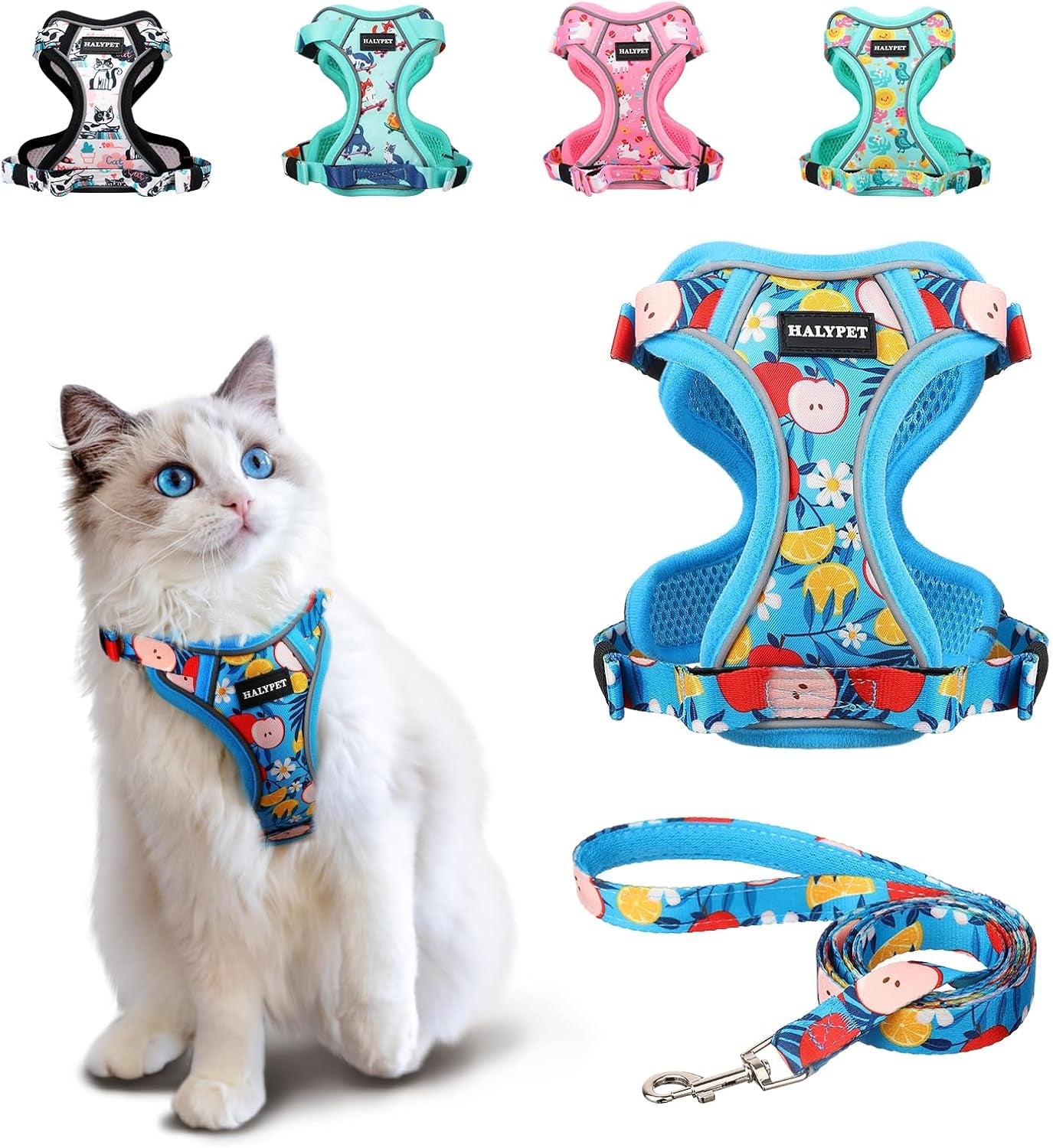 Cat Harness and Leash