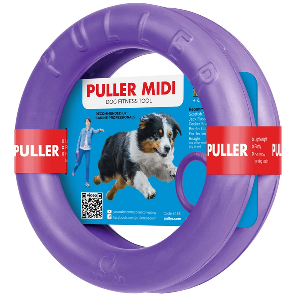 Ring Fetch Toy Medium