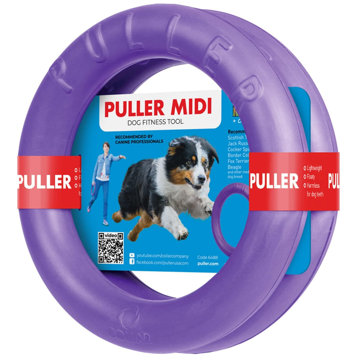 Ring Fetch Toy Medium