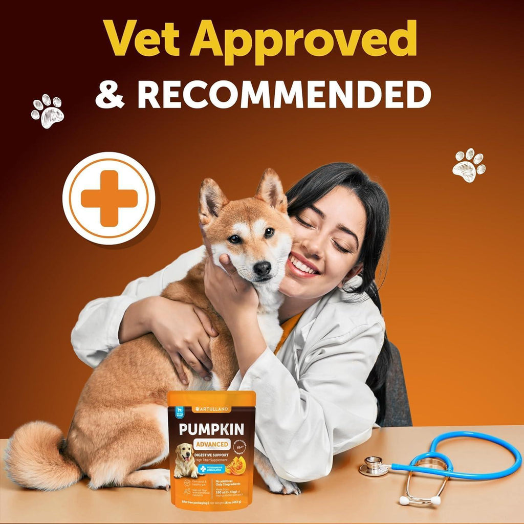 Pumpkin Powder for Dogs Digestive Wellness