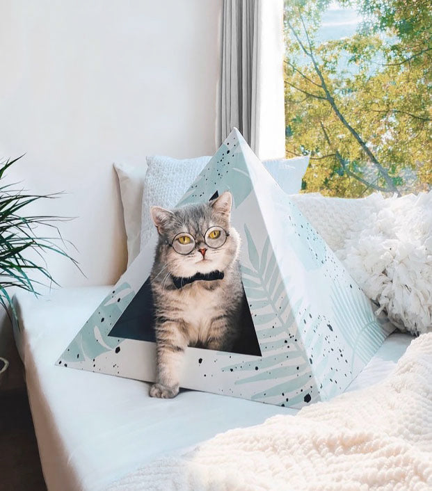 Kitty Kardboard 'Oasis'
