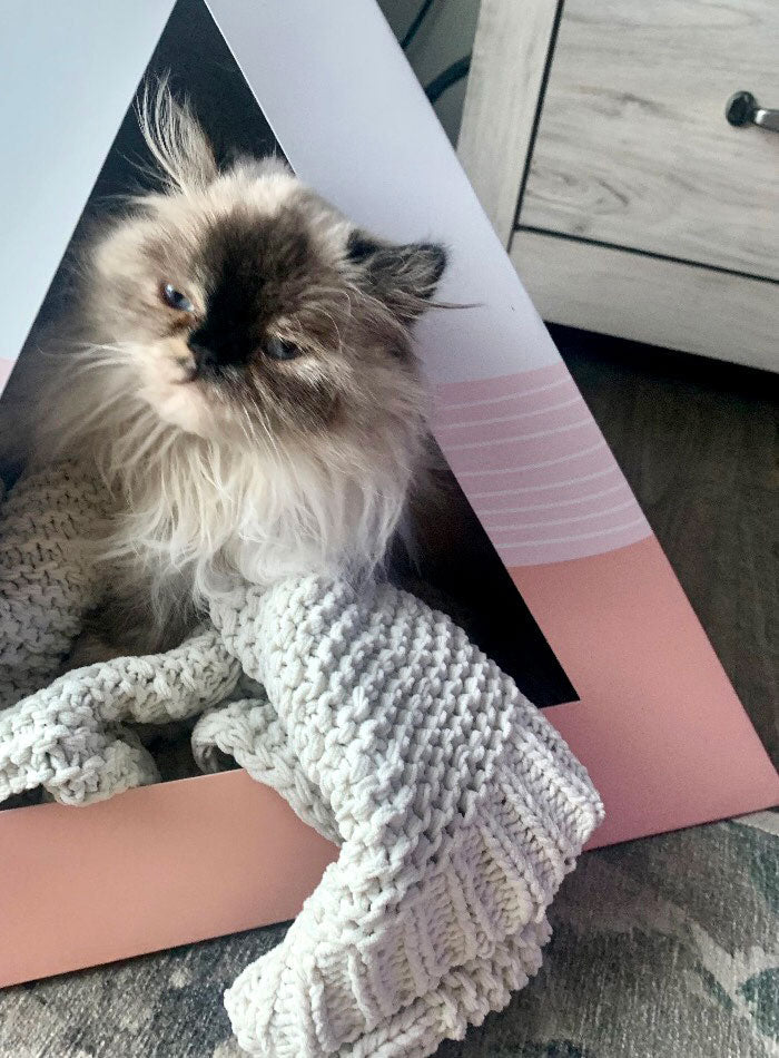 Kitty Kardboard 'Wavey'