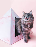 Kitty Kardboard 'Rose Quartz'