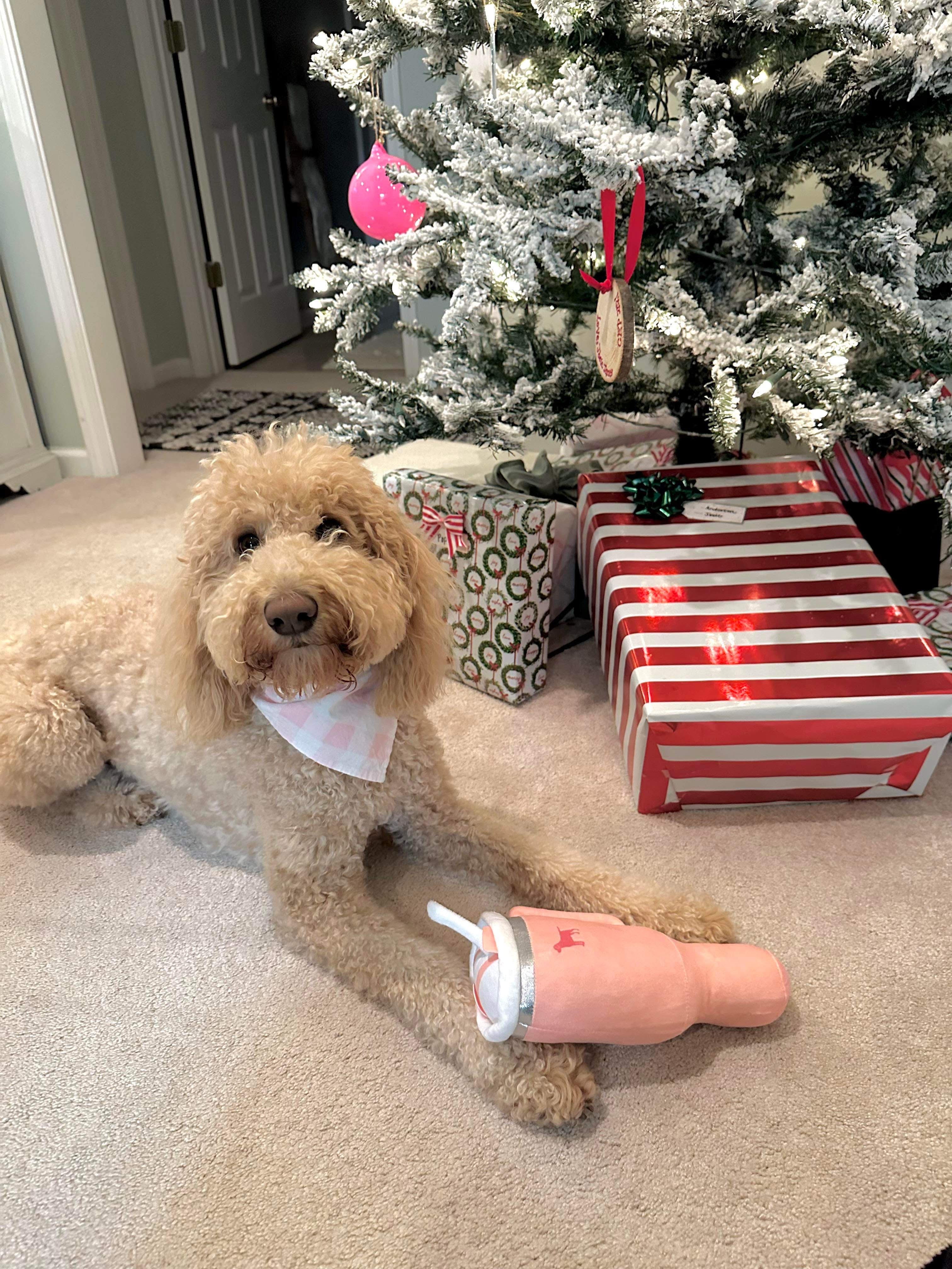Tumbler Plush Squeaky Dog Toy