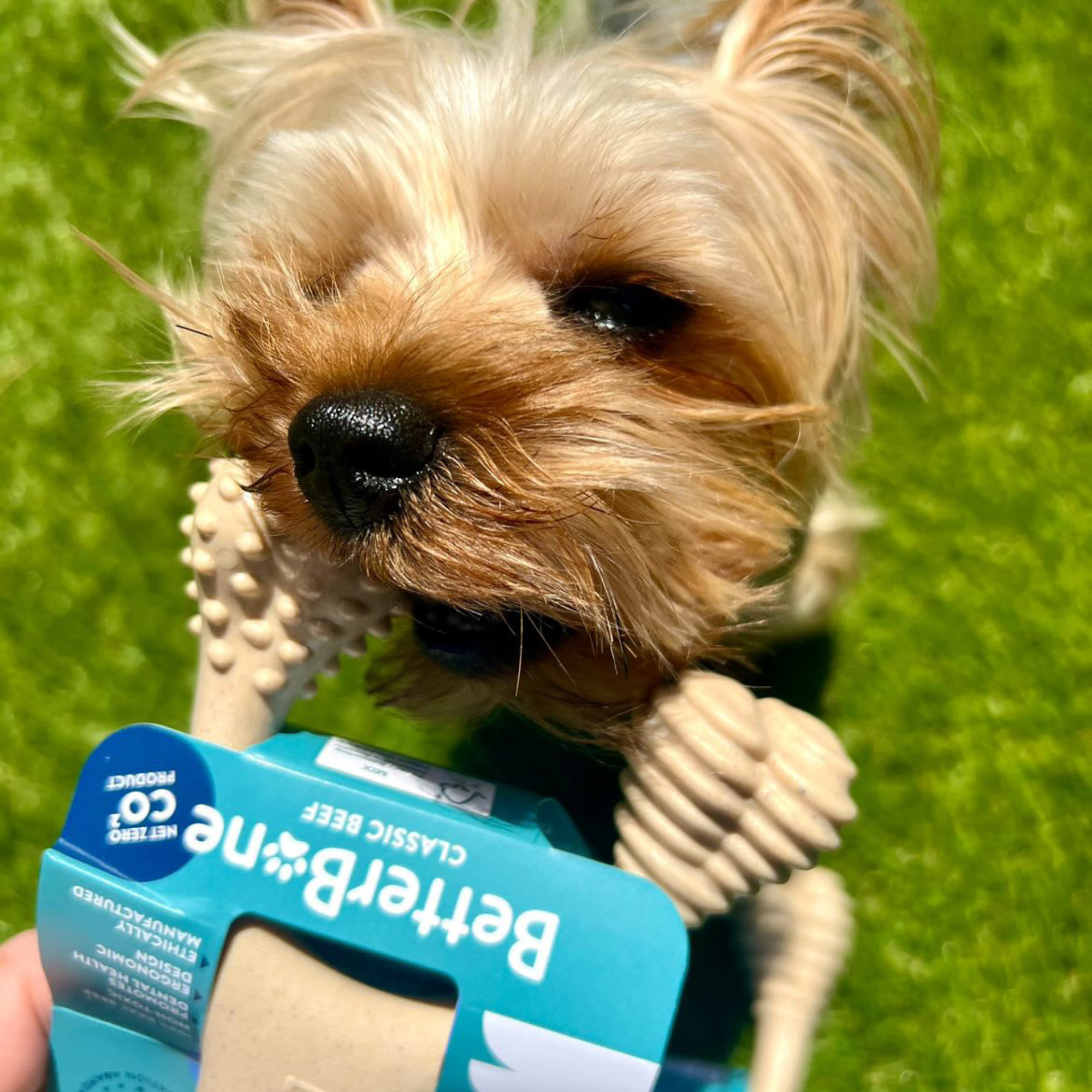 BetterBone CHEW TOY: Plant-Based Ingredients
