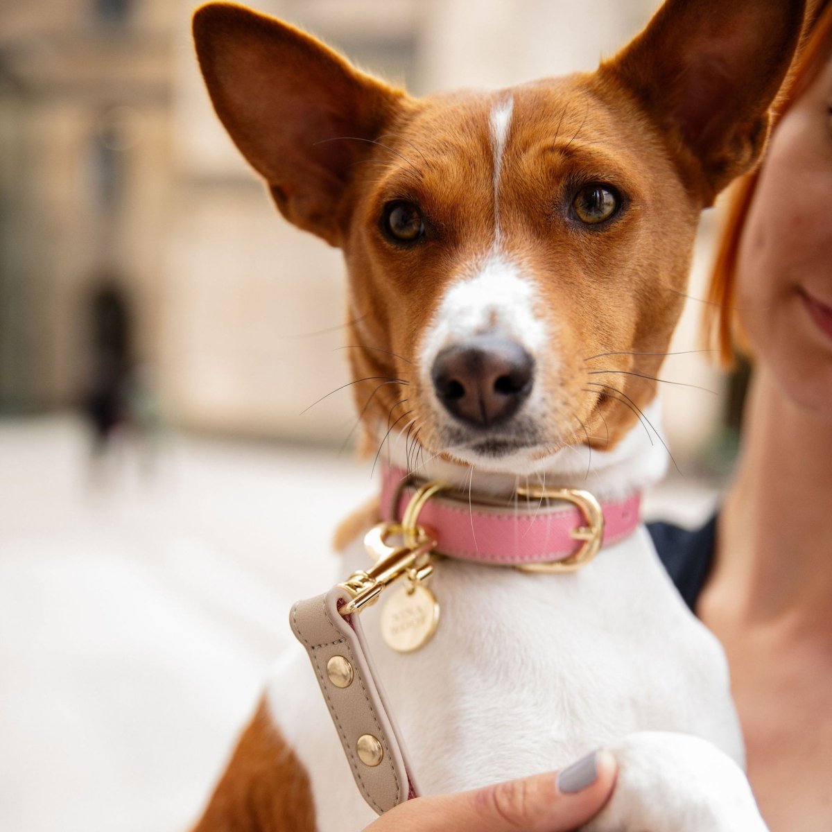 Nina Woof Vegan Leather Collar