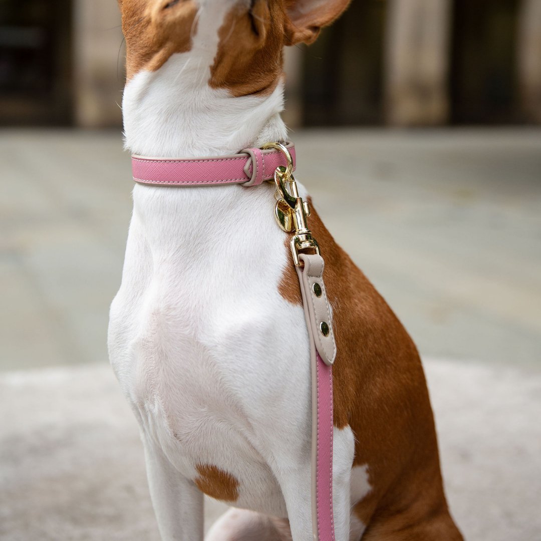 Nina Woof Vegan Leather Collar