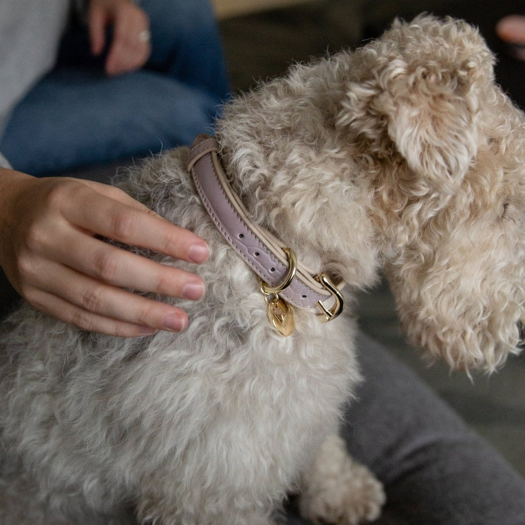 Nina Woof Vegan Leather Collar