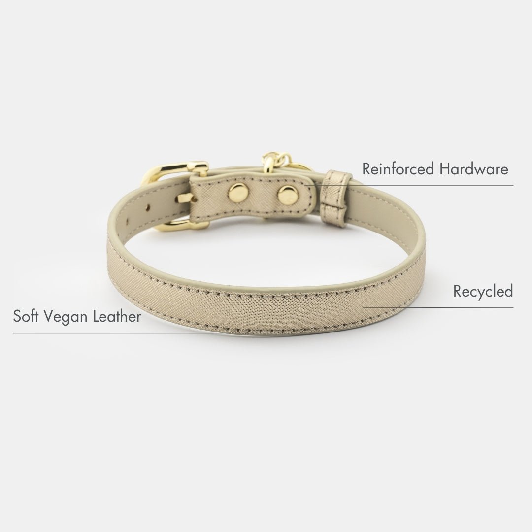 Nina Woof Vegan Leather Collar