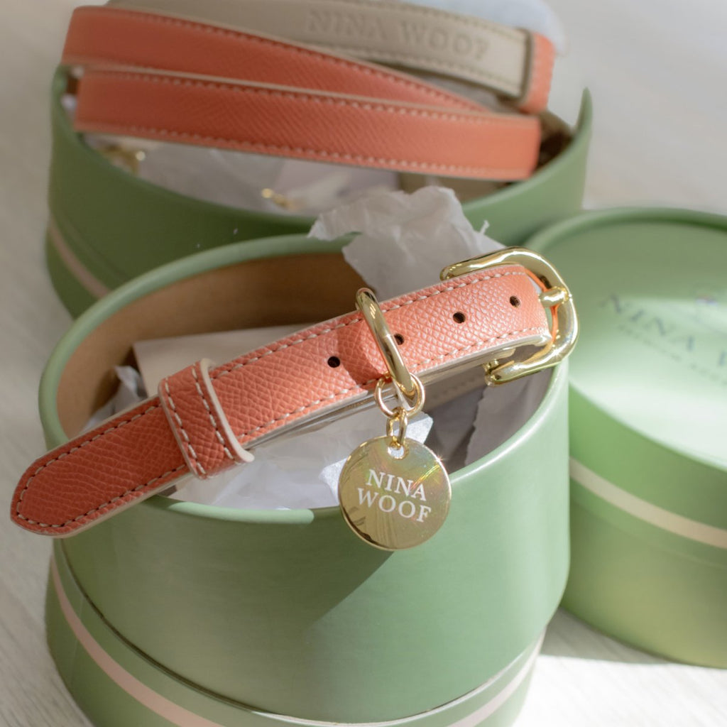 Nina Woof Vegan Leather Collar
