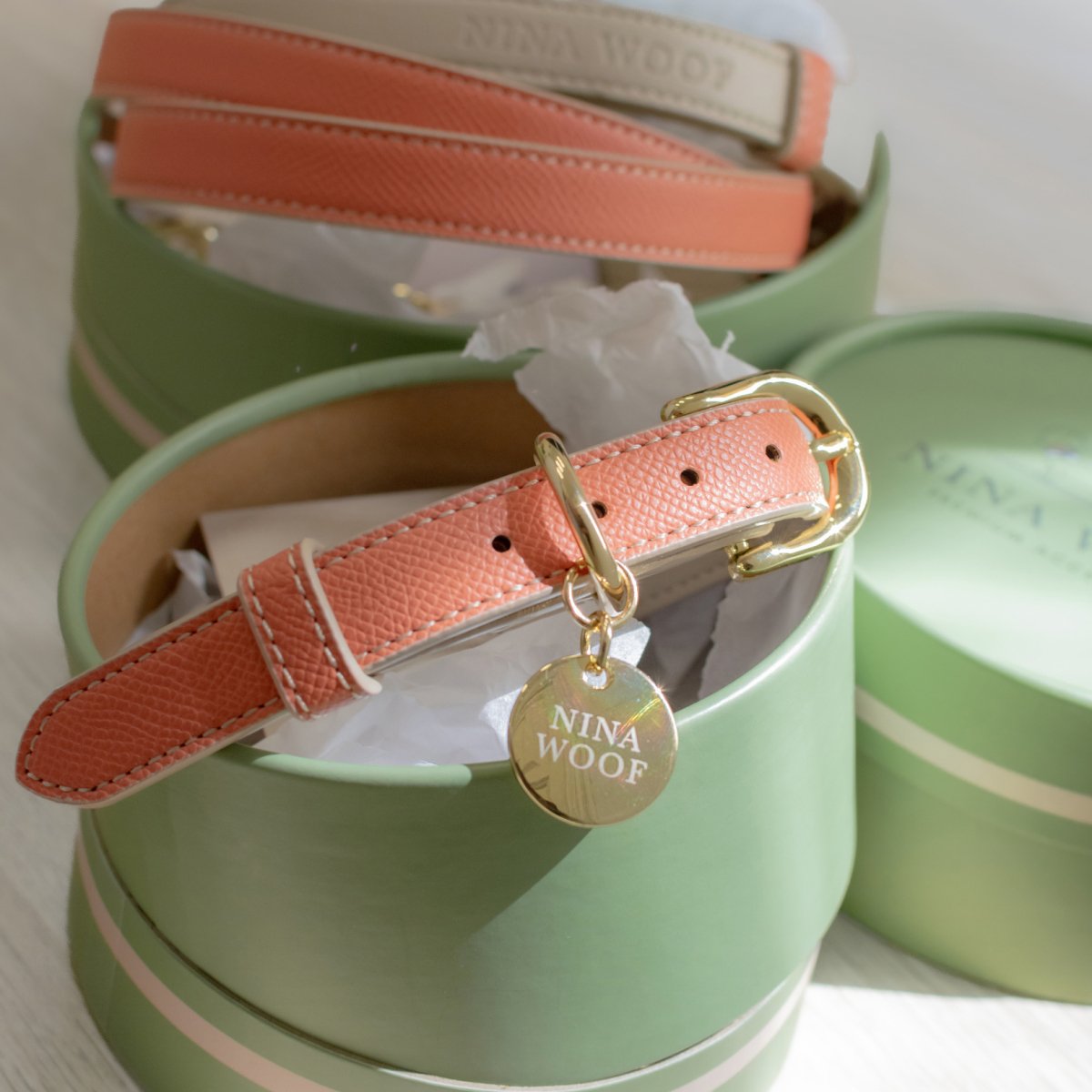 Nina Woof Vegan Leather Collar