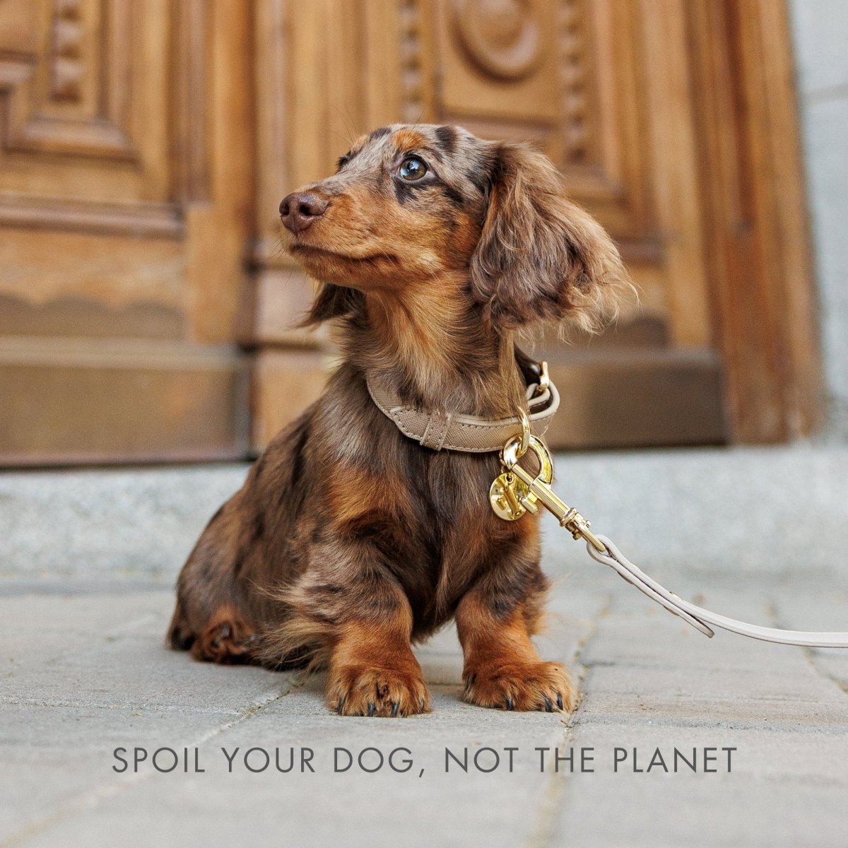 Nina Woof Vegan Leather Collar