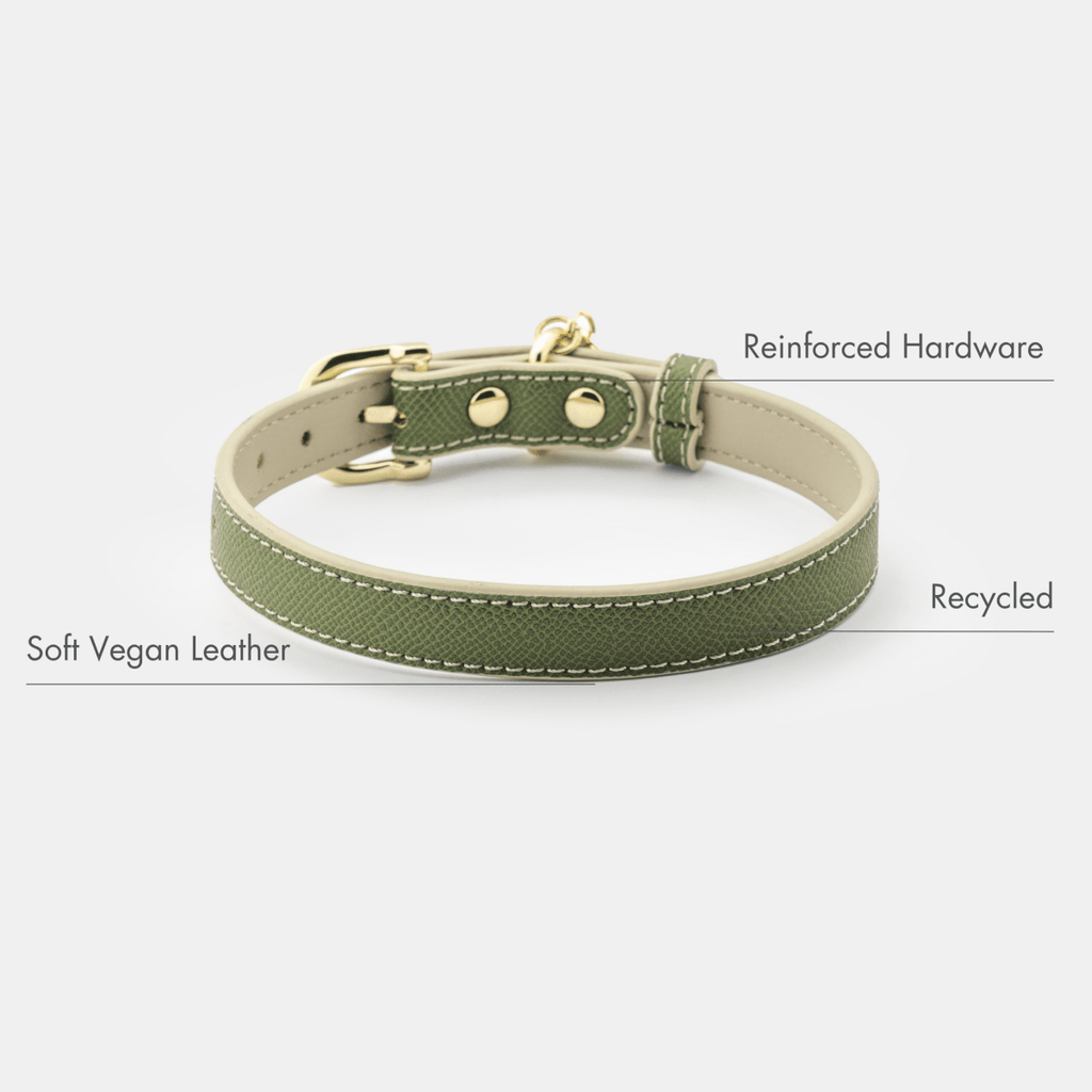 Nina Woof Vegan Leather Collar