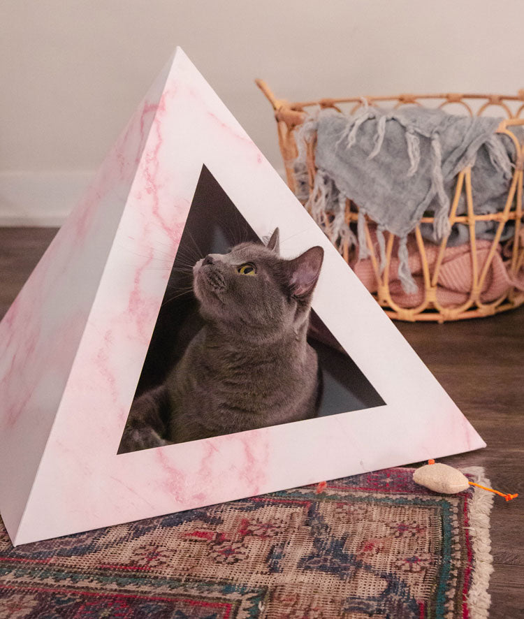 Kitty Kardboard 'Rose Quartz'