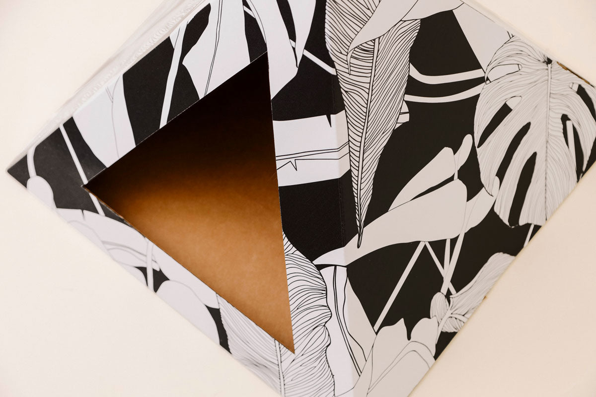 Kitty Kardboard 'Dark Paradise'