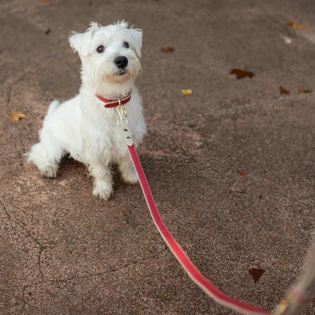 Nina Woof Vegan Leather - Copenhagen Leash