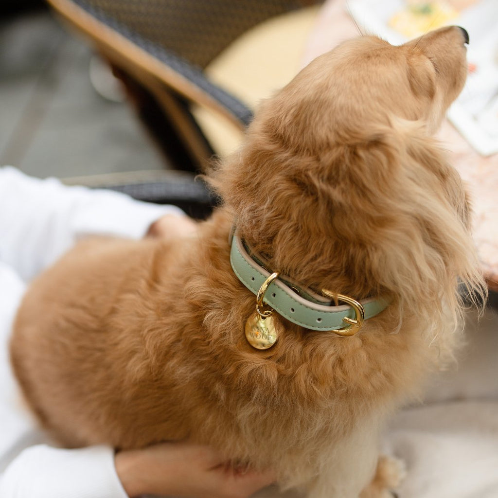 Nina Woof Vegan Leather - Copenhagen Collar
