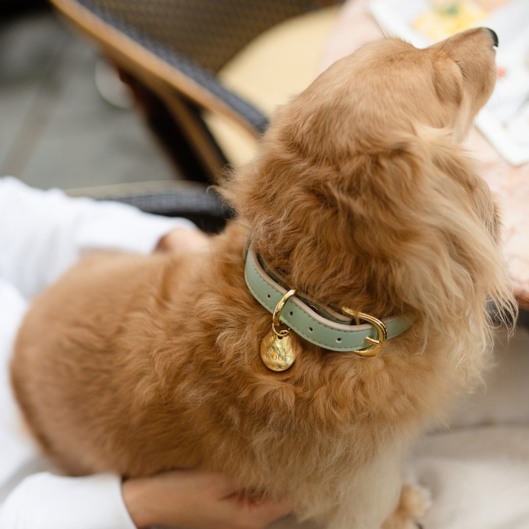 Nina Woof Vegan Leather - Copenhagen Collar