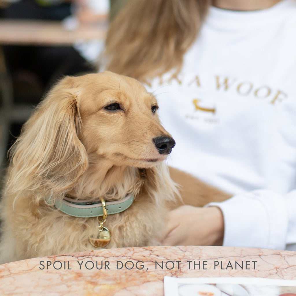 Nina Woof Vegan Leather - Copenhagen Collar