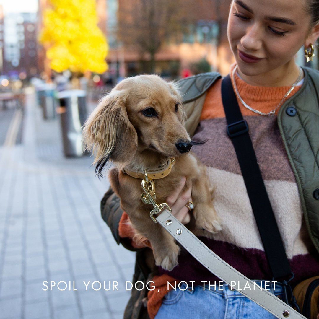 Nina Woof Vegan Leather - Copenhagen Collar