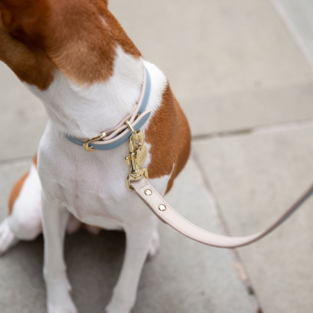 Nina Woof Vegan Leather - Cupertino Leash
