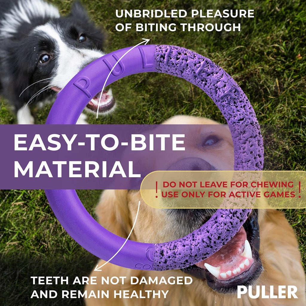 Ring Fetch Toy Medium