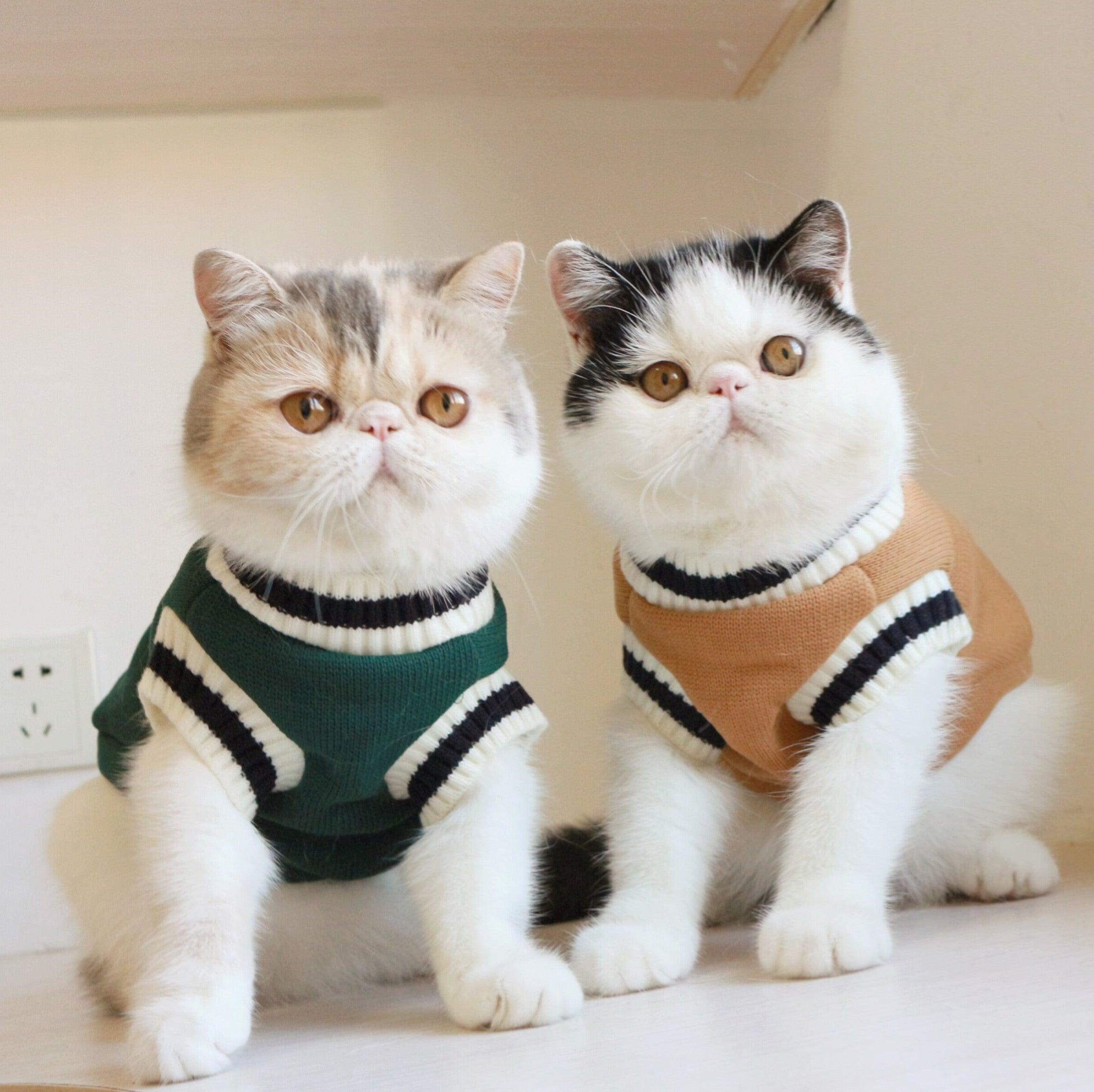Knit Sleeveless Sweater for Cat
