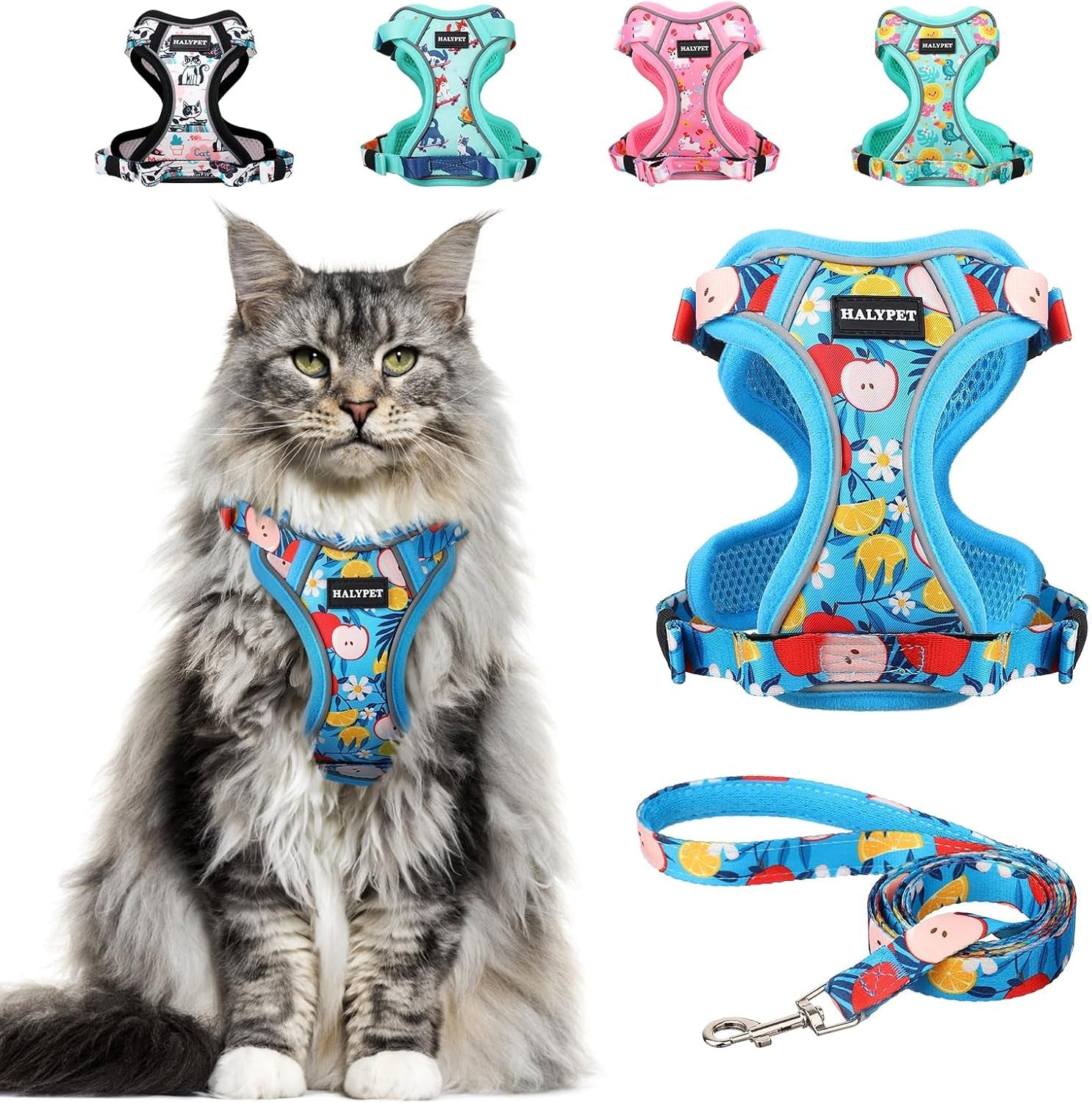 Cat Harness and Leash