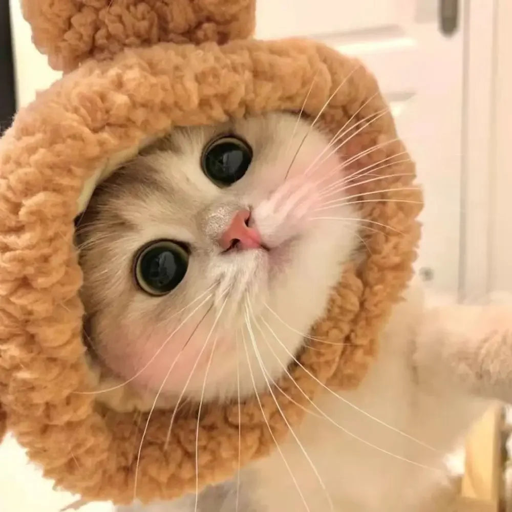 Cute Costume Cat Hats