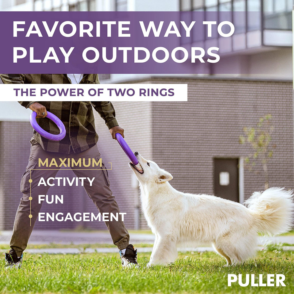 Large Dog Fetch Toy 2 Rings