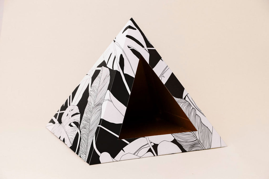 Kitty Kardboard 'Dark Paradise'