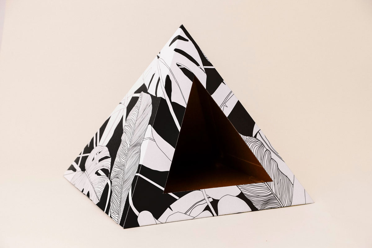 Kitty Kardboard 'Dark Paradise'