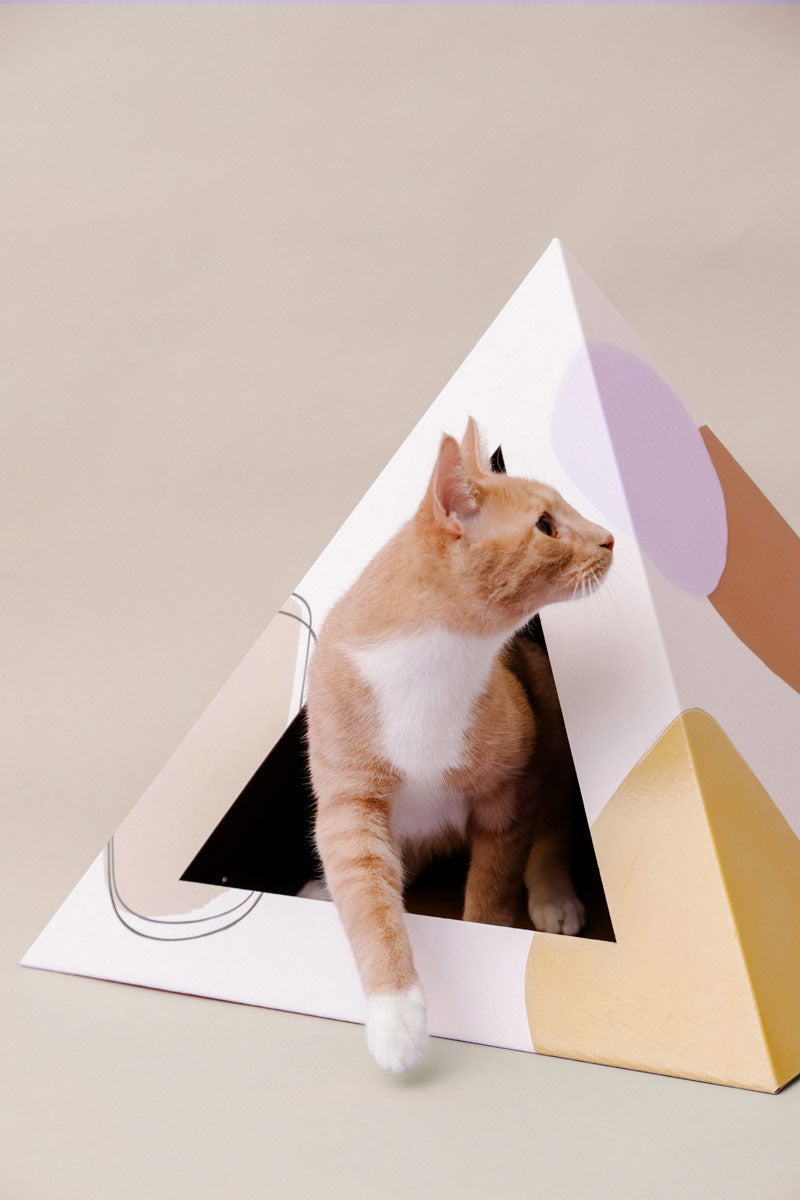 Kitty Kardboard 'Abstract'