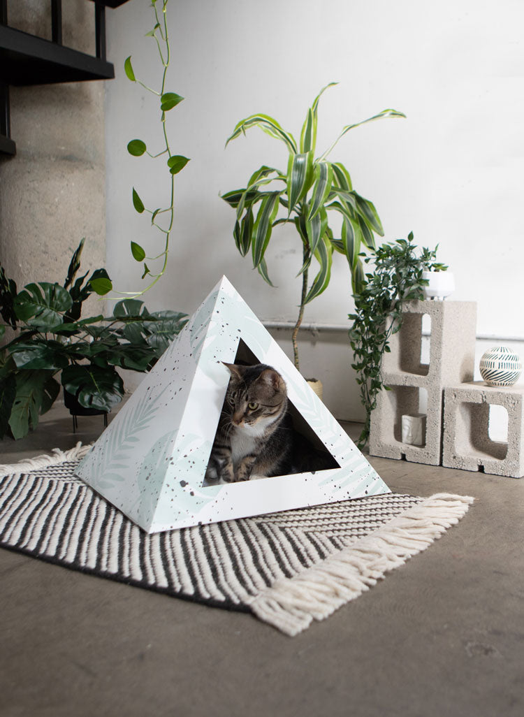 Kitty Kardboard 'Oasis'
