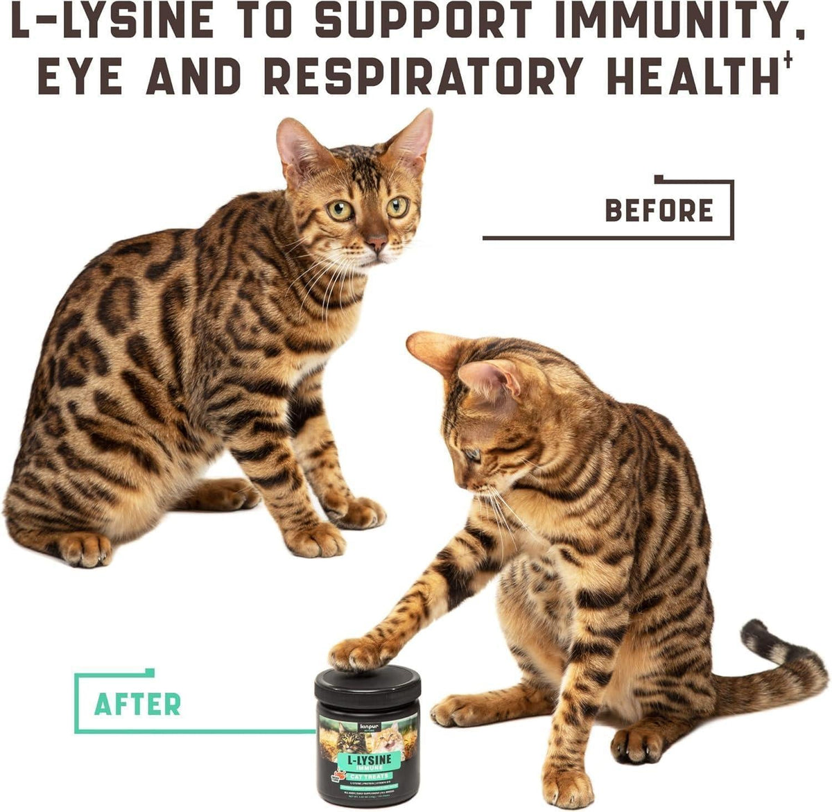 Cat Eye, Immune & Respiratory Support
