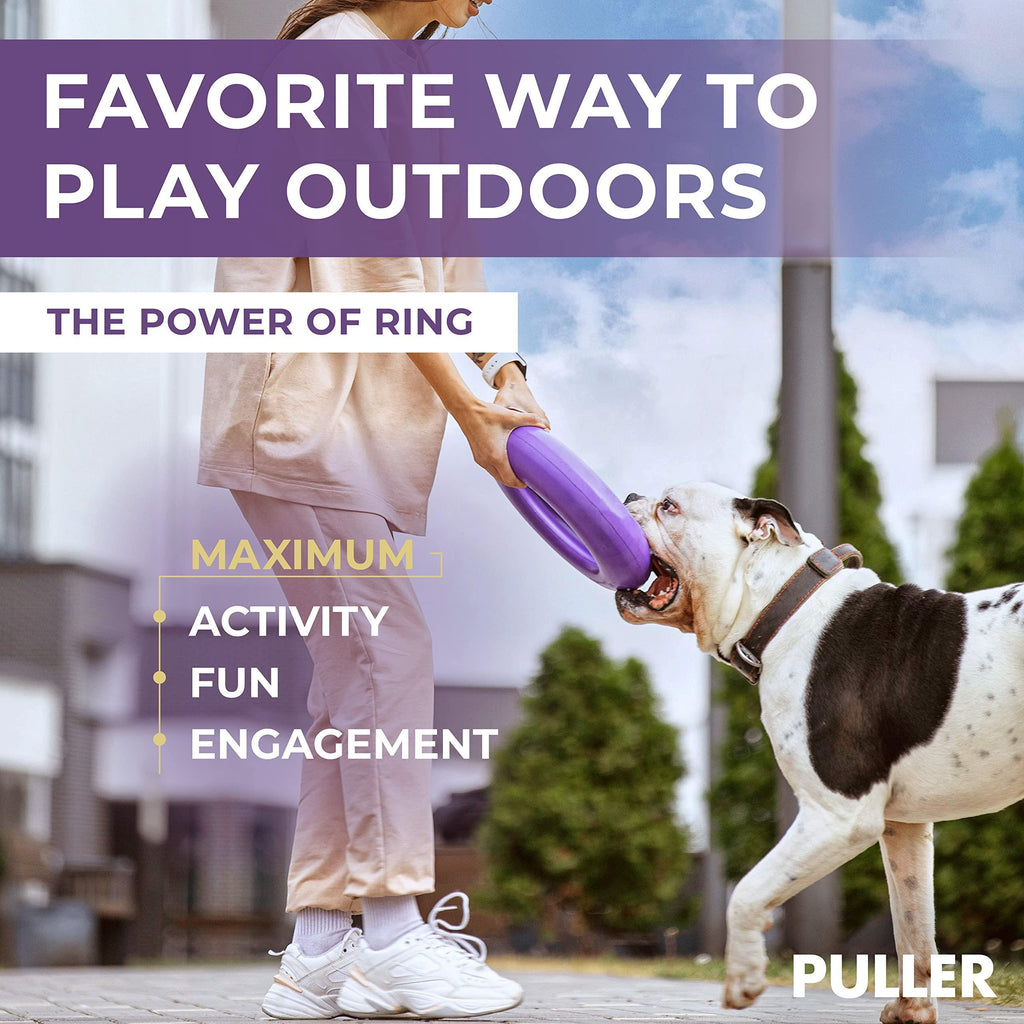 Ring Fetch Toy Large