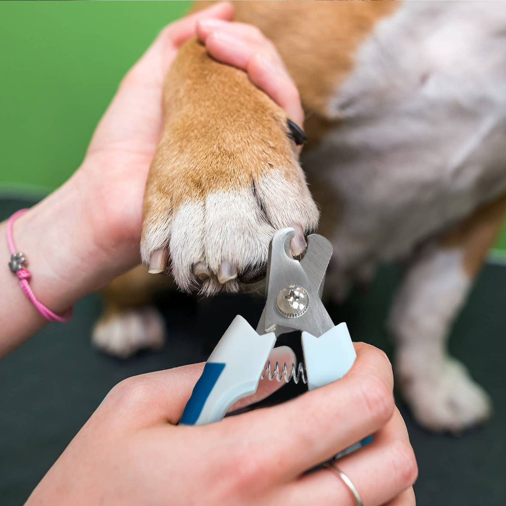 Eco-Friendly Pet Nail Clipper