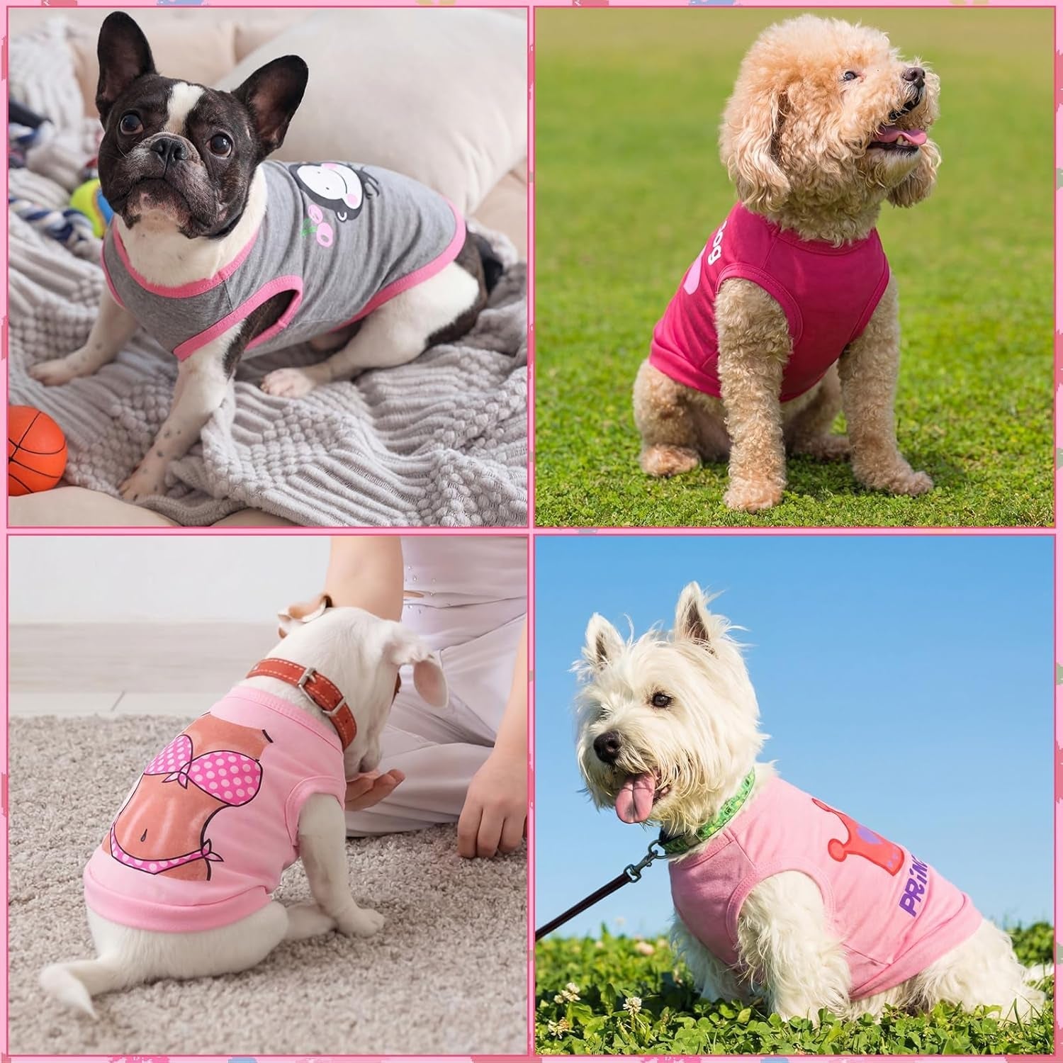 Dog Shirts 6 Pack