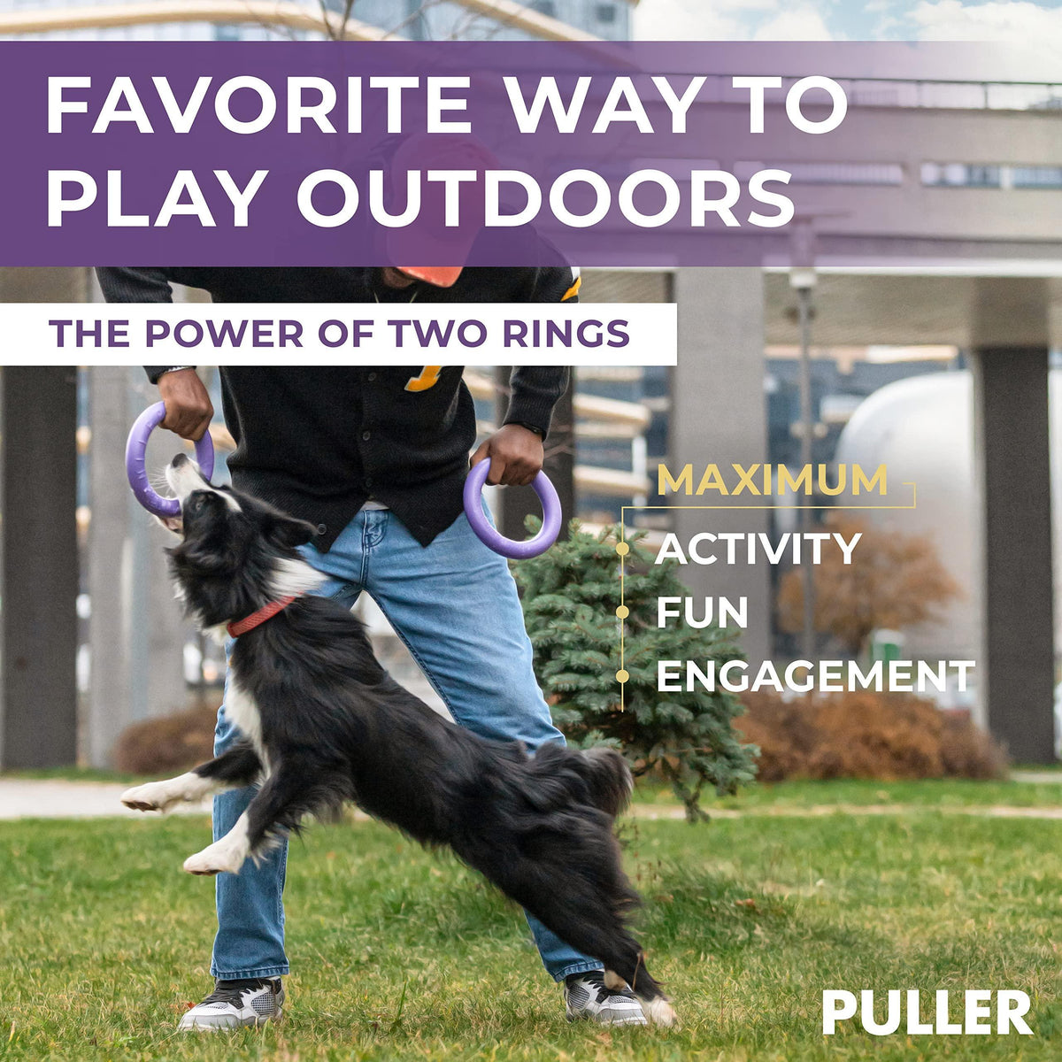 Ring Fetch Toy Medium