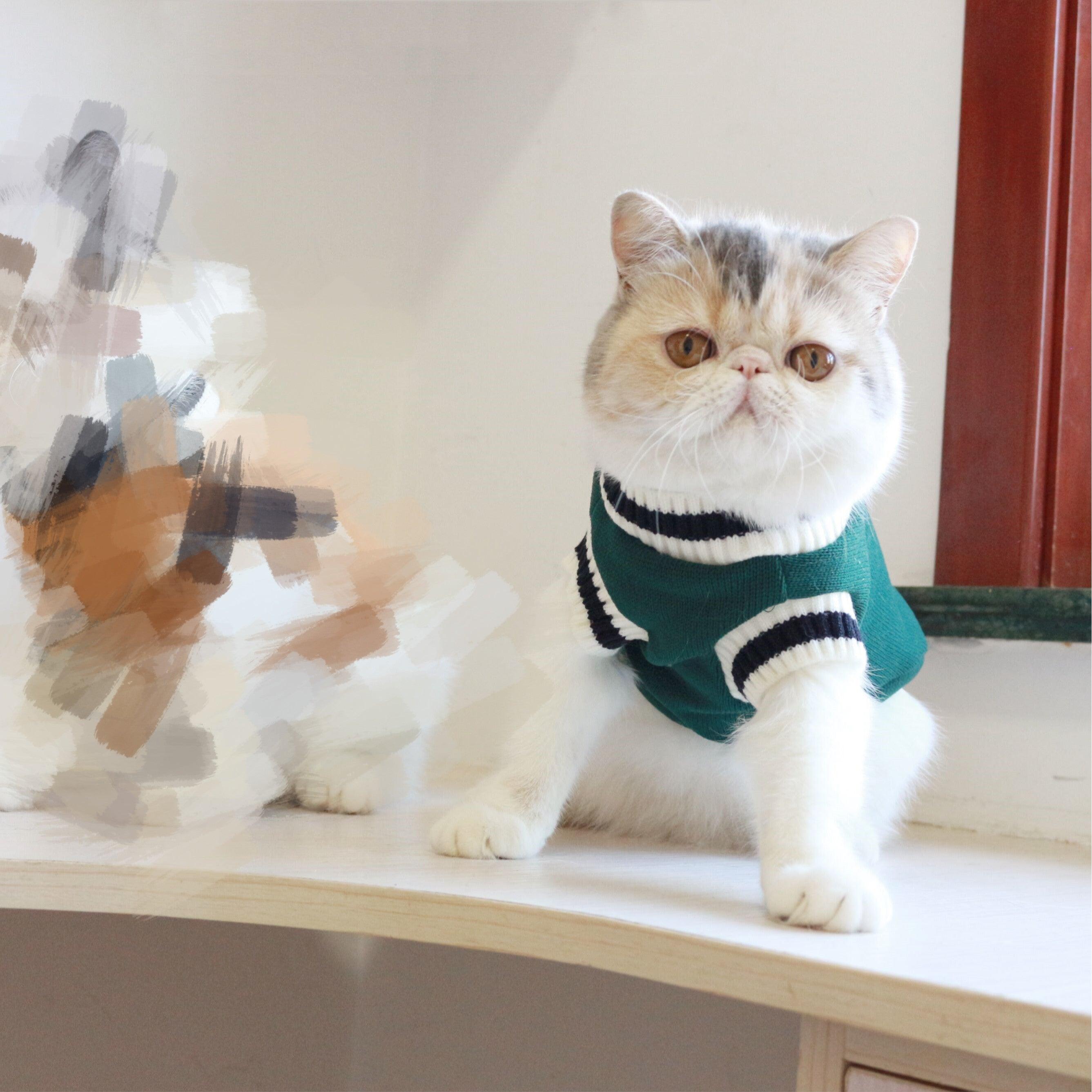 Knit Sleeveless Sweater for Cat