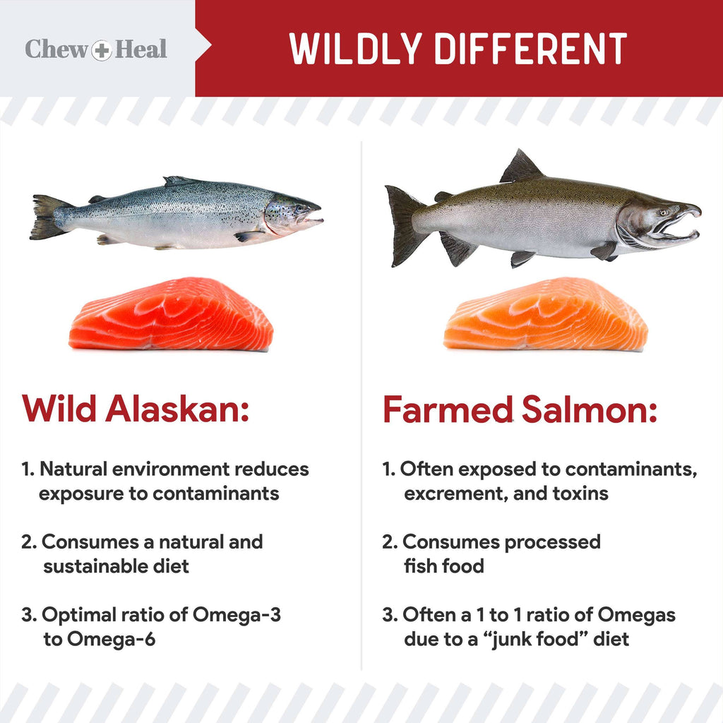 🐟🥩 Wild Alaskan Salmon Oil