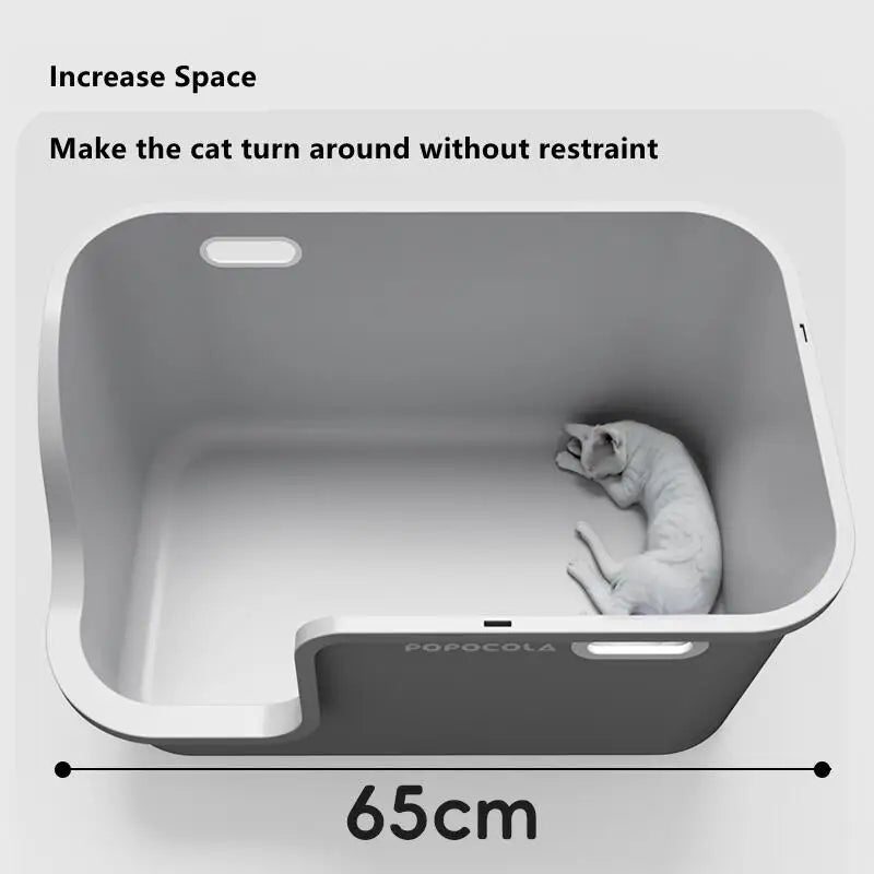 Large Cat Litter