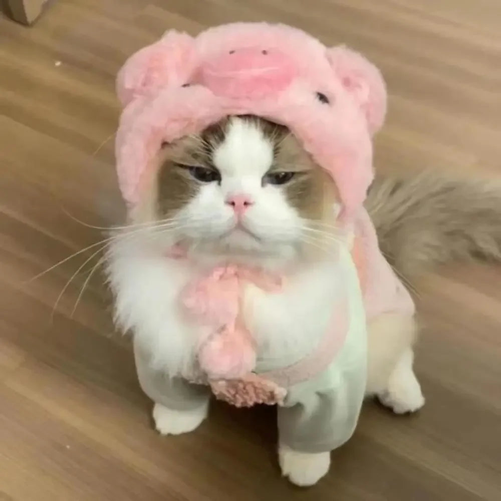 Cute Costume Cat Hats