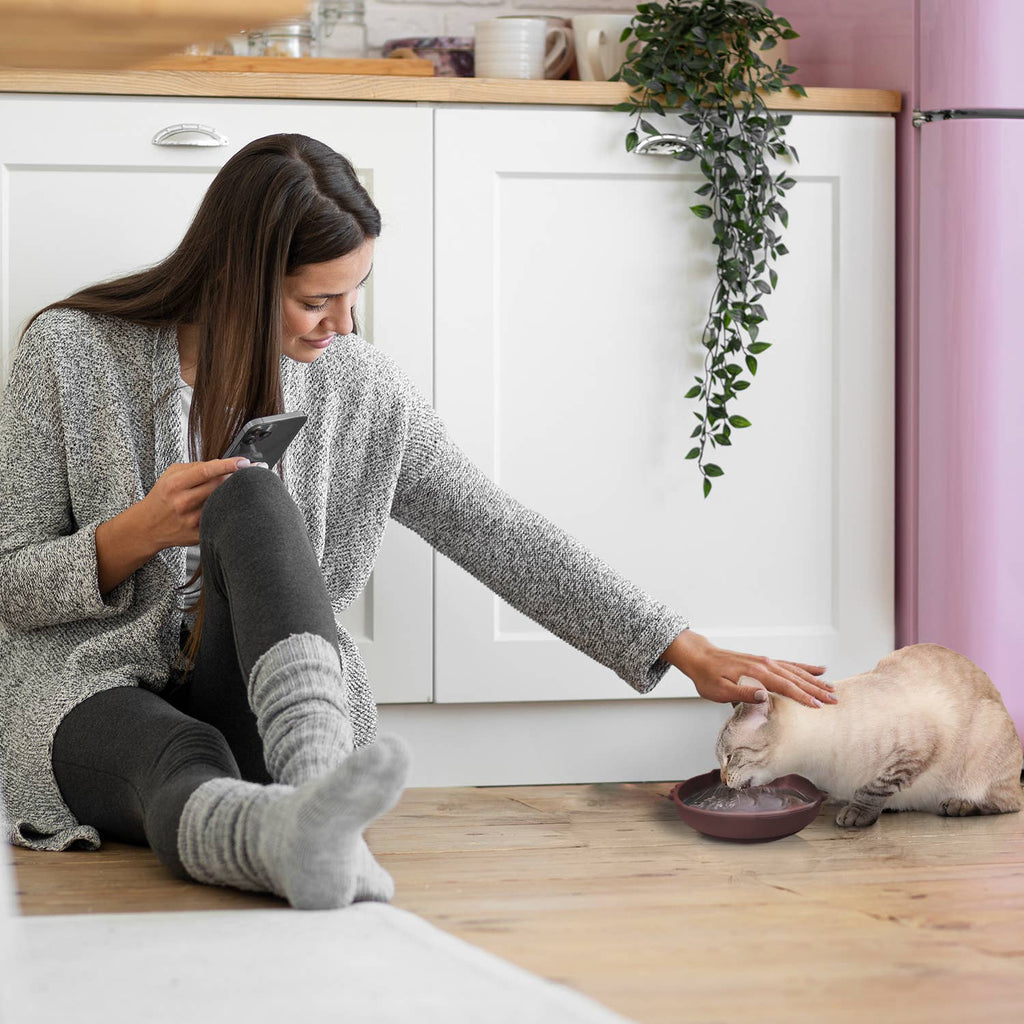 Cat Shaped Silicone Bowl