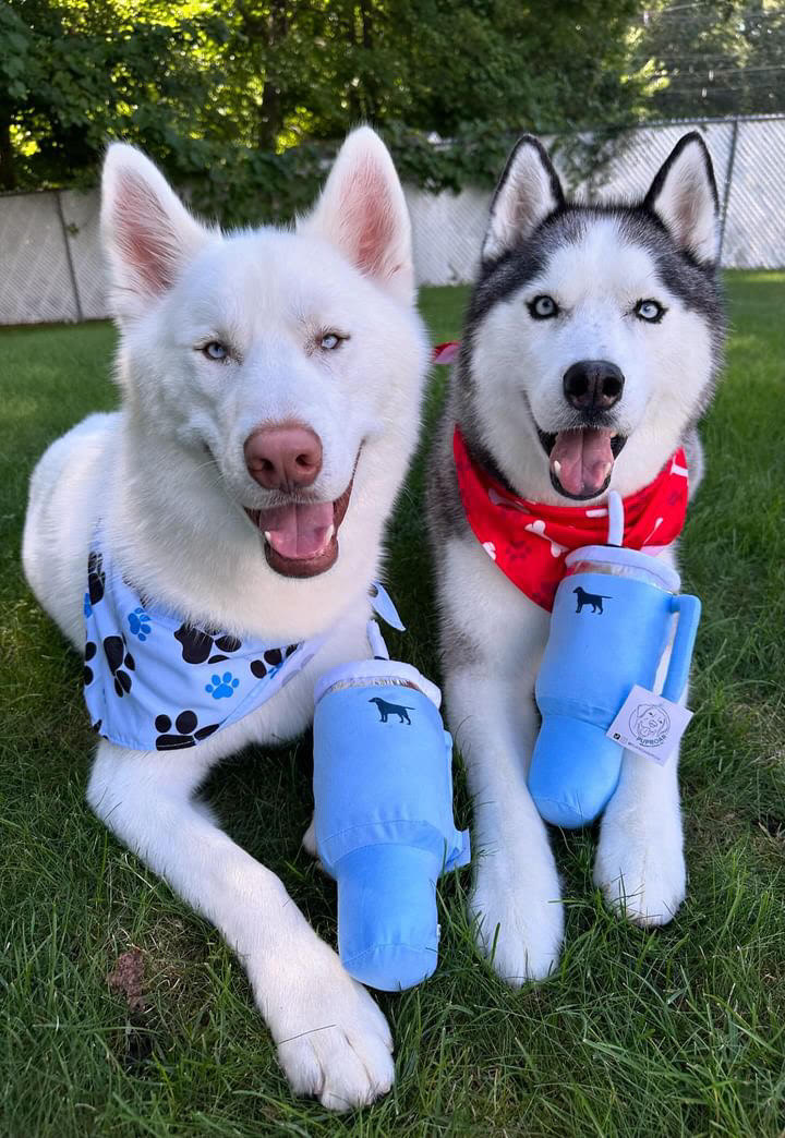 Tumbler Plush Squeaky Dog Toy