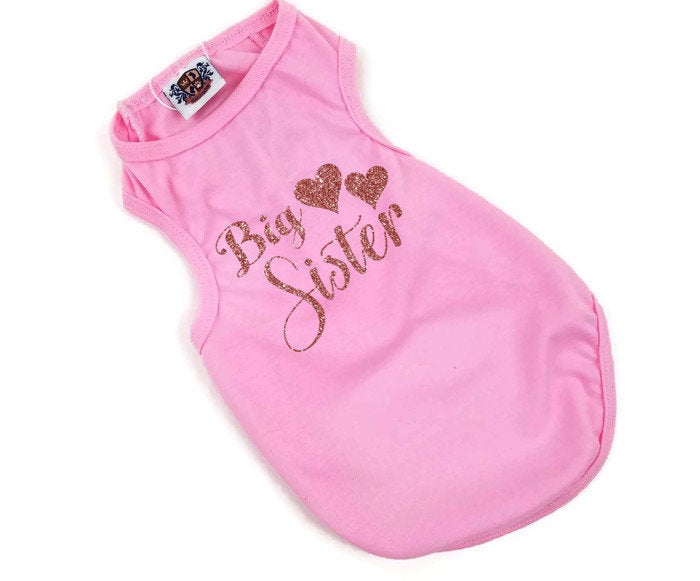 I'll Be a Big Sister Soon