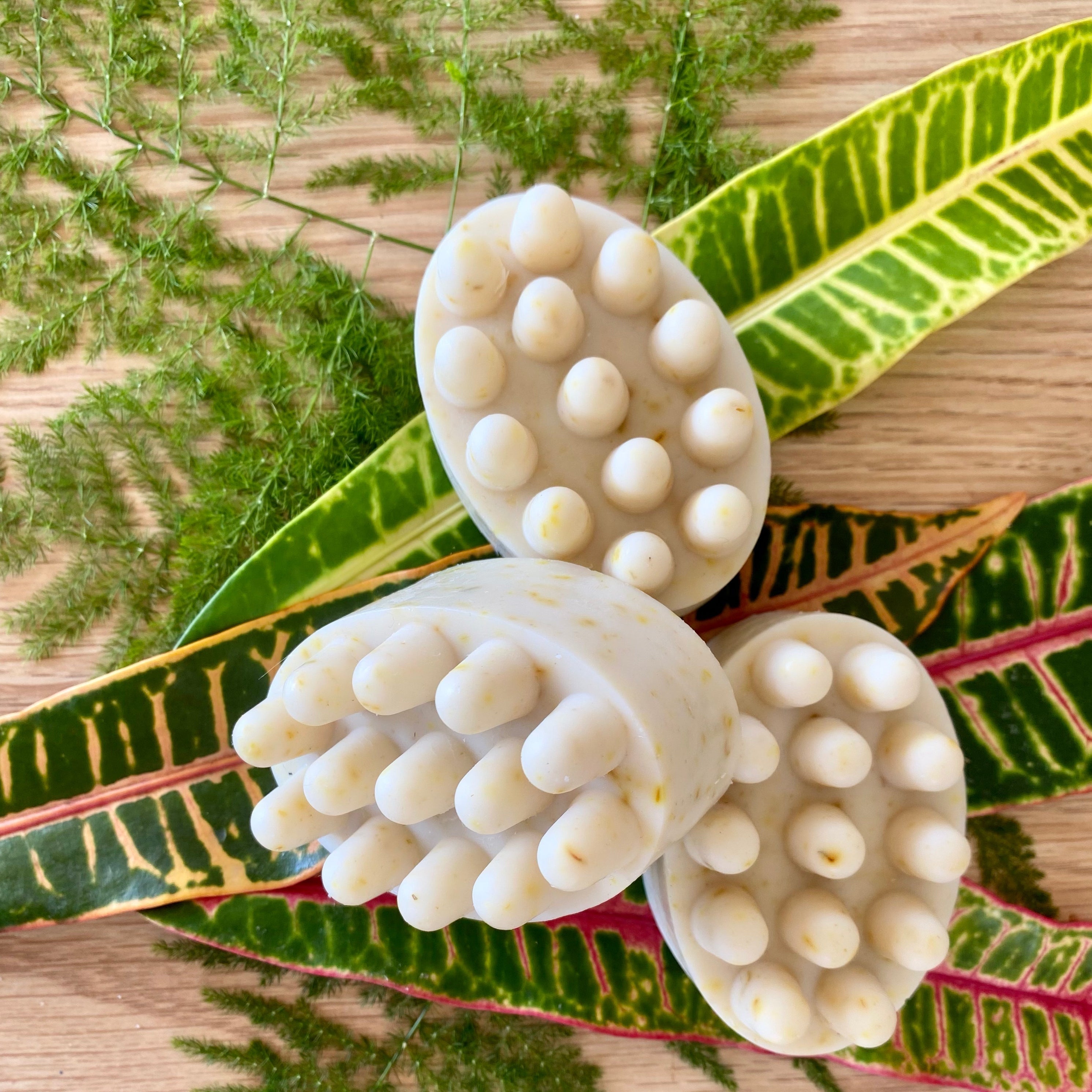 Natural Pet Shampoo for Sensitive Skin Cat