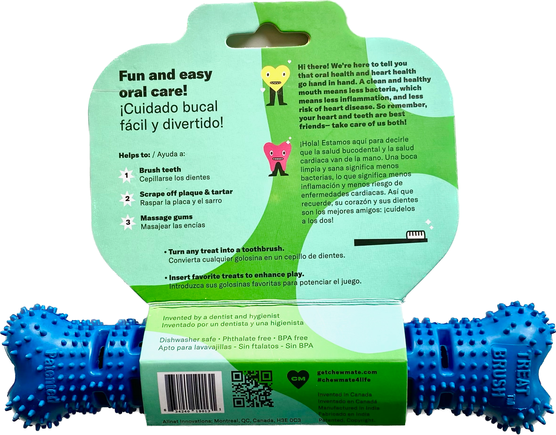 Large Natural Rubber Bone Toothbrush Toy