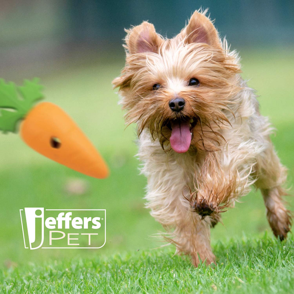 Natural Rubber Treat Dispensing Dental Chew Toy